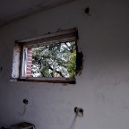 DSC_0017.JPG